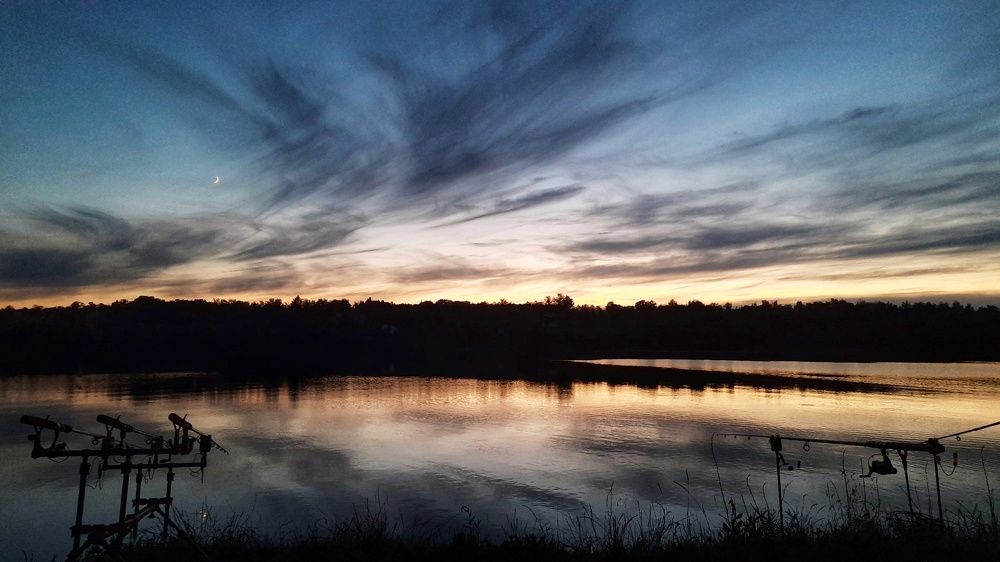 Photo #6491317