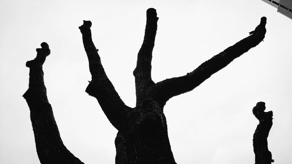 Photograph by Ольга Кувшинова