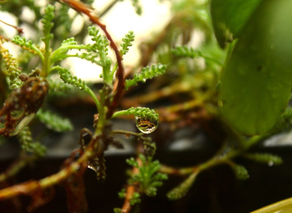 Photograph by Valeria Arcuri