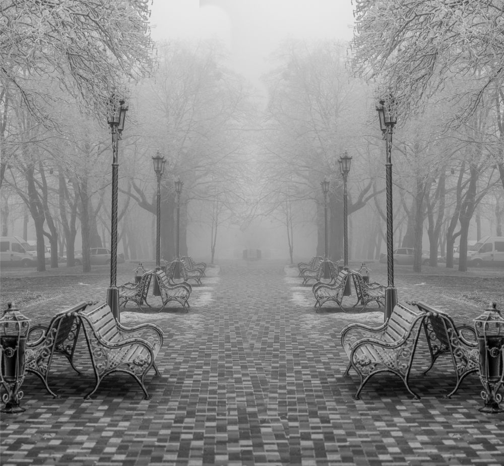 Photograph by 