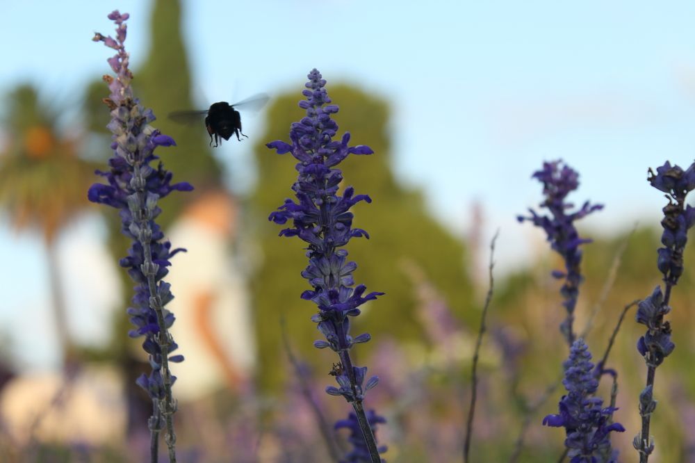 Photograph by Valeria Arcuri