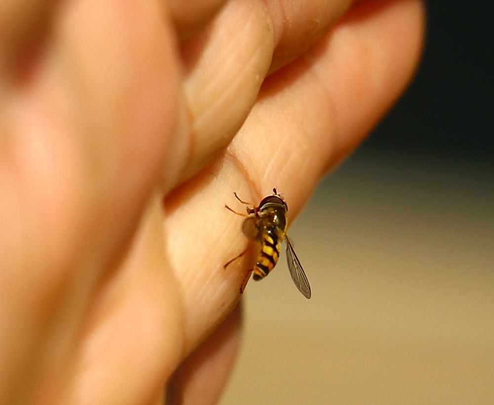 Photograph by Vjekoslav Hrman