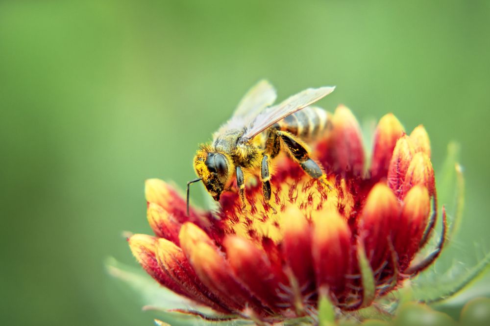 Photograph by Татьяна Колесникова