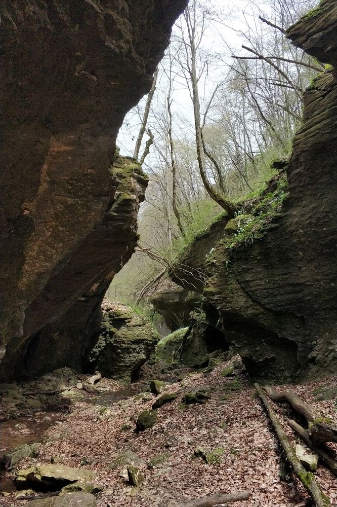 Photograph by Александр Усенко