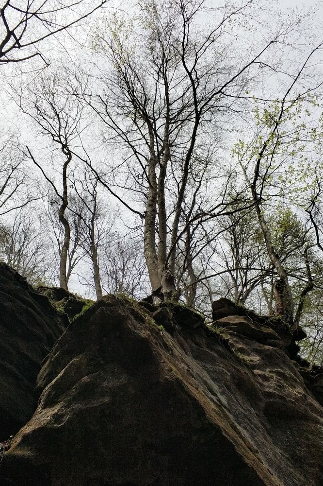 Photograph by Александр Усенко