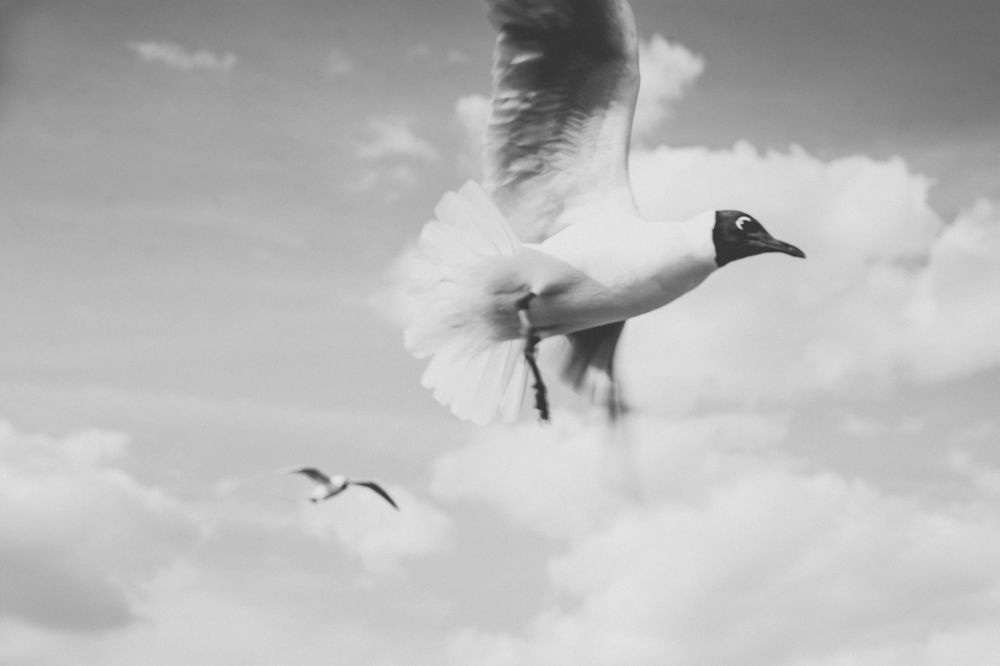 Photograph by Анастасия