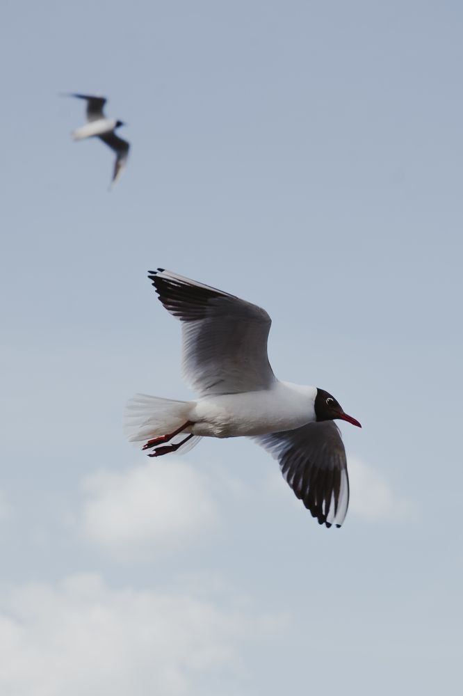 Photograph by Анастасия