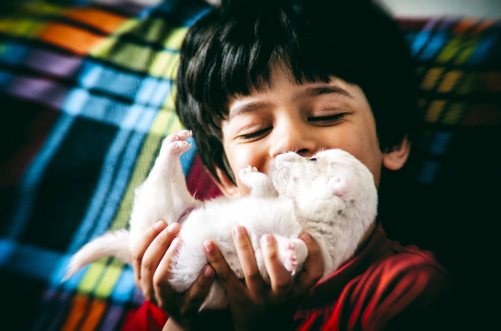 Photograph by DAMOUN POURNEMATI