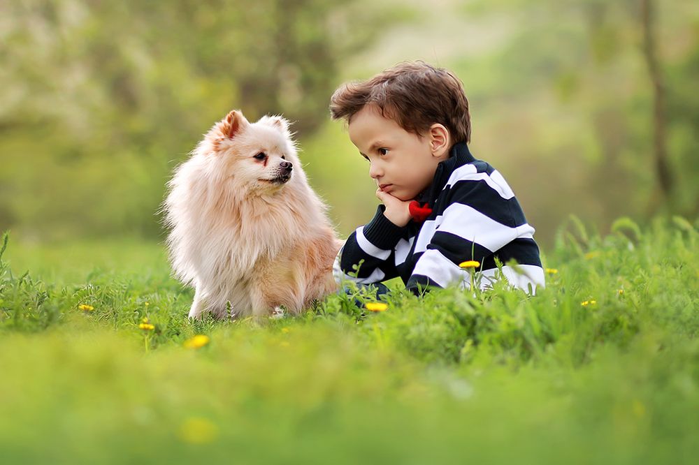 Photograph by mohsen mikaeili