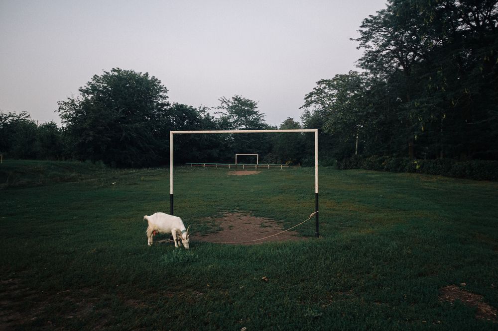 Photograph by Дмитрий Недодаев