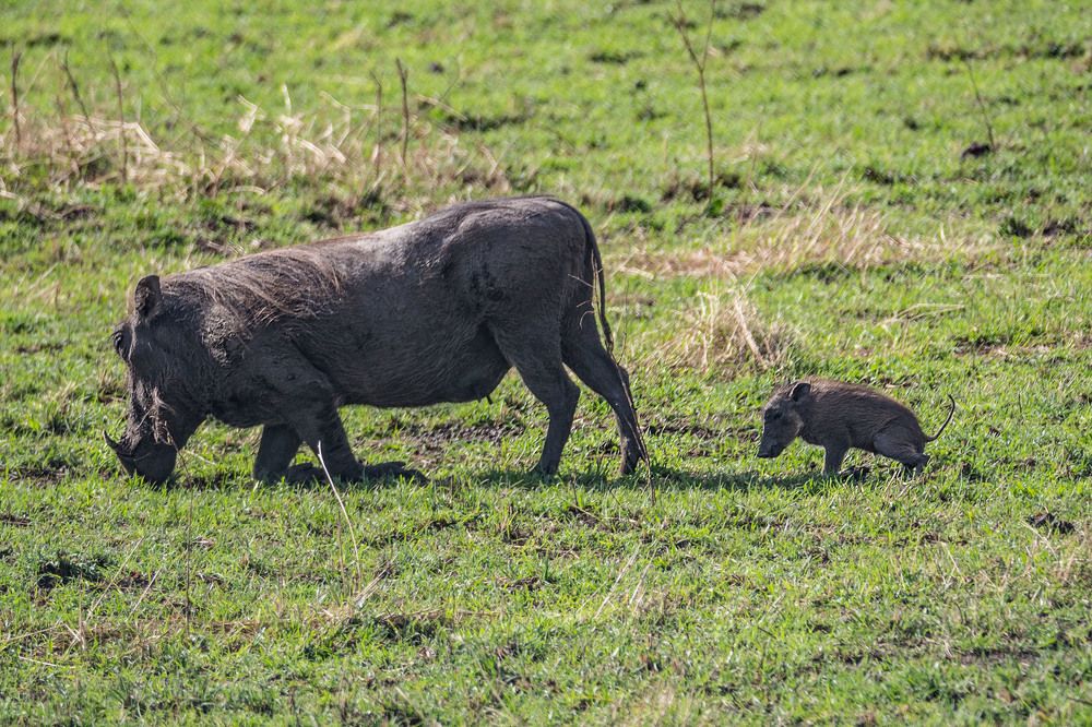 Photograph by Victor Belokrinitski