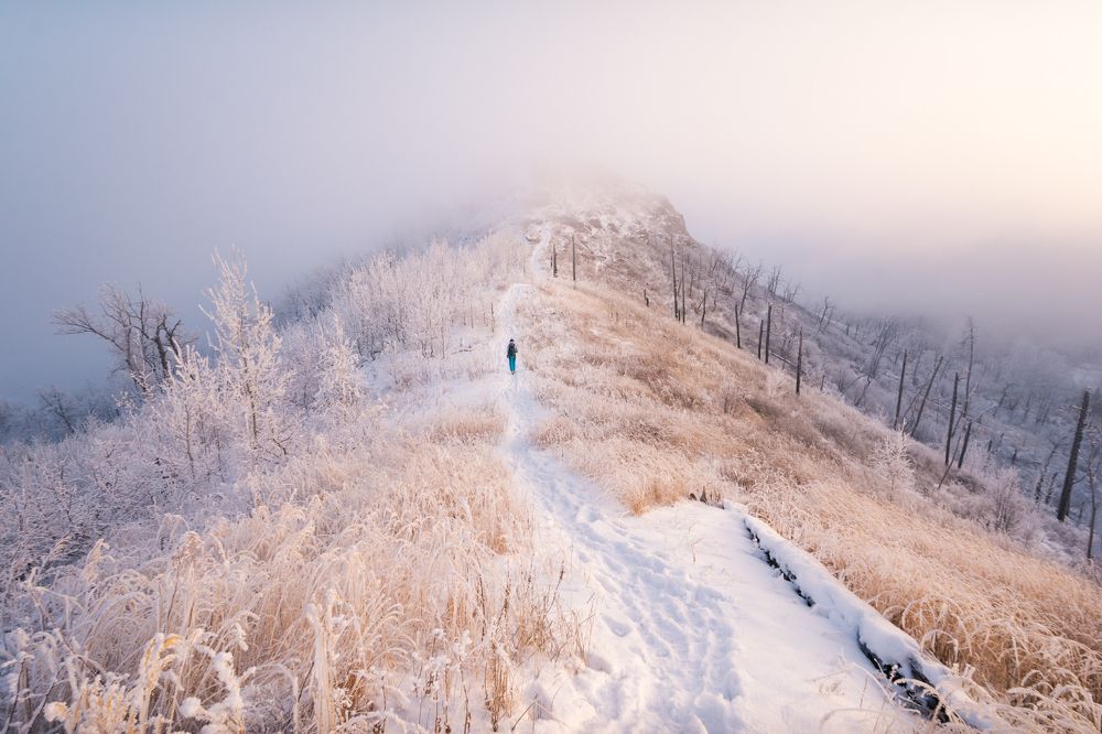 Photograph by Алексей Проняхин