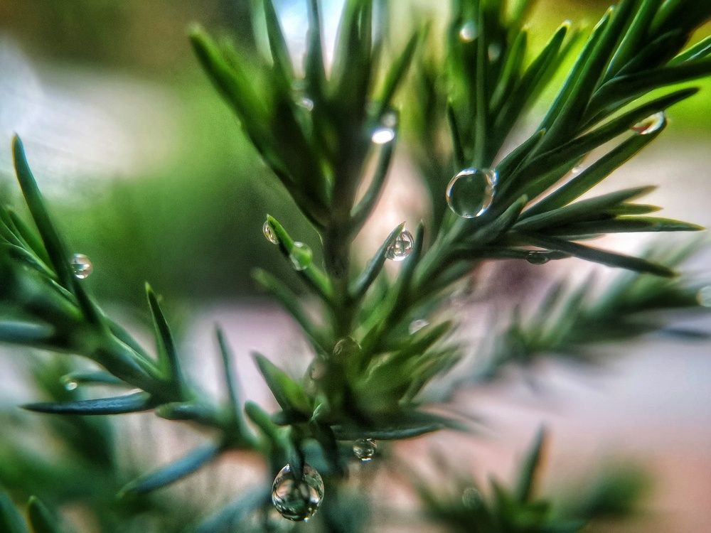 Photograph by Abhinav Sinha