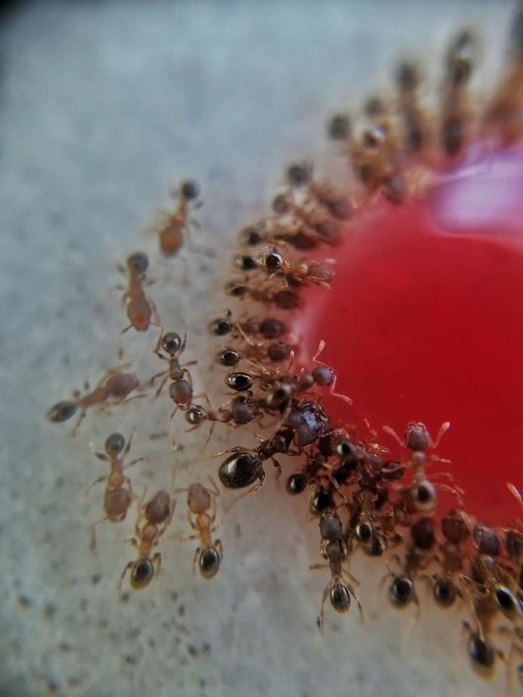 Photograph by Abhinav Sinha