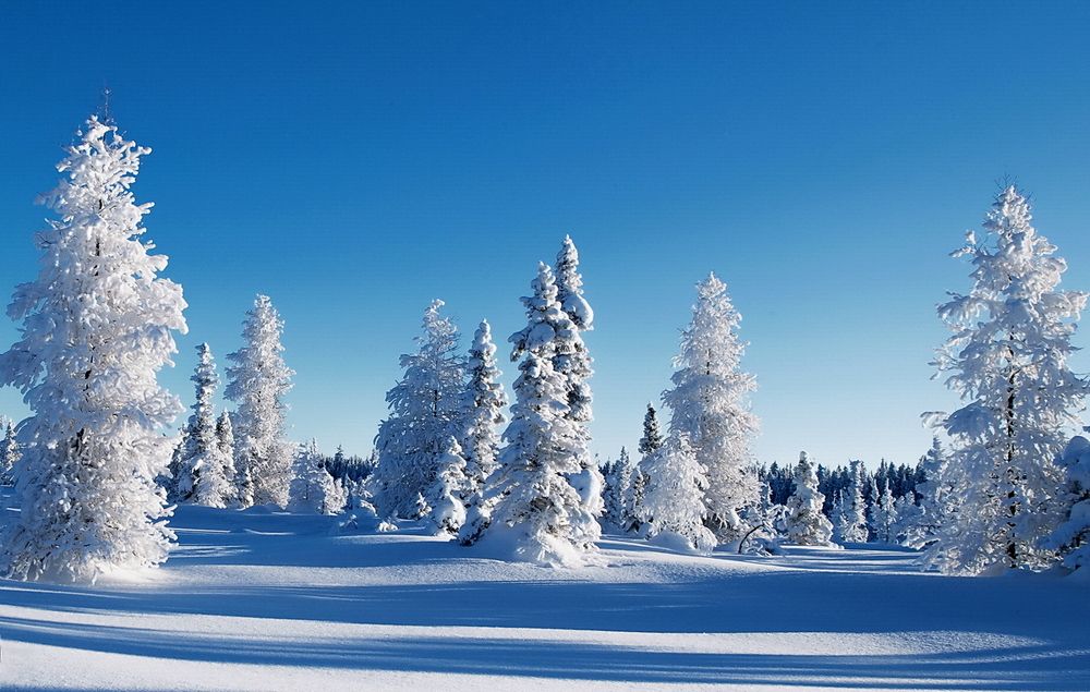 Фотография автора Razgulyaev Aleksandr