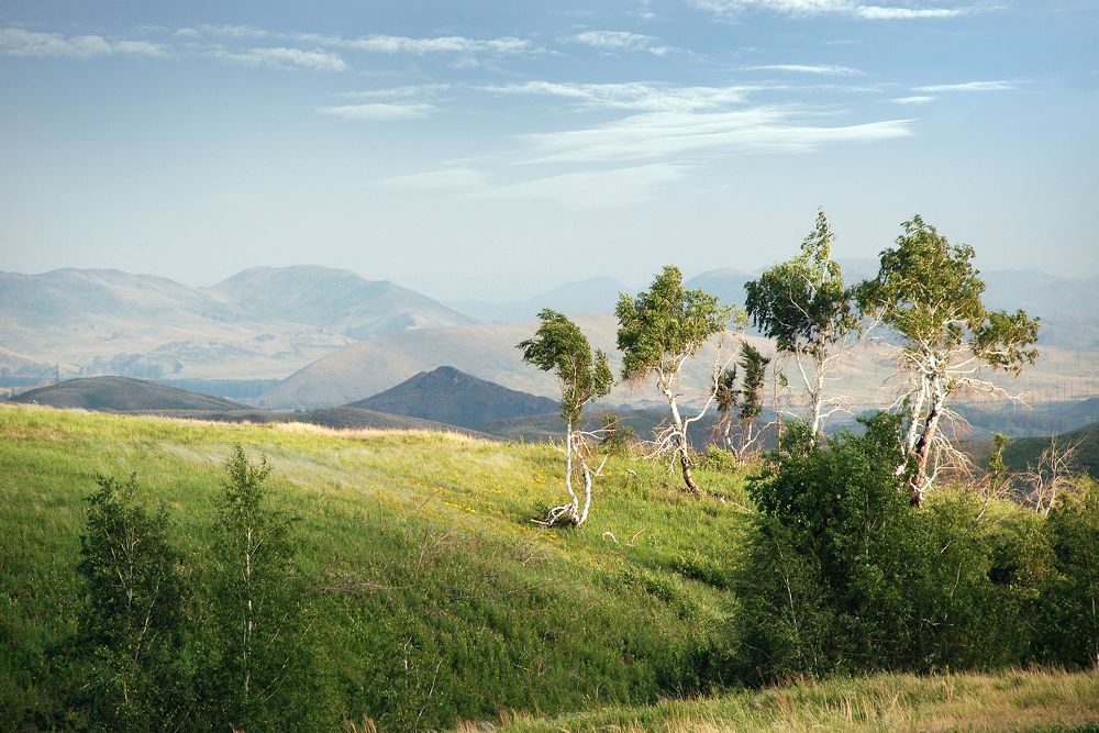 Photograph by Рашит Чумарин