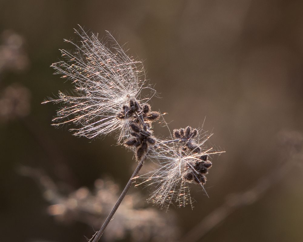 Photograph by Евгений Михеев