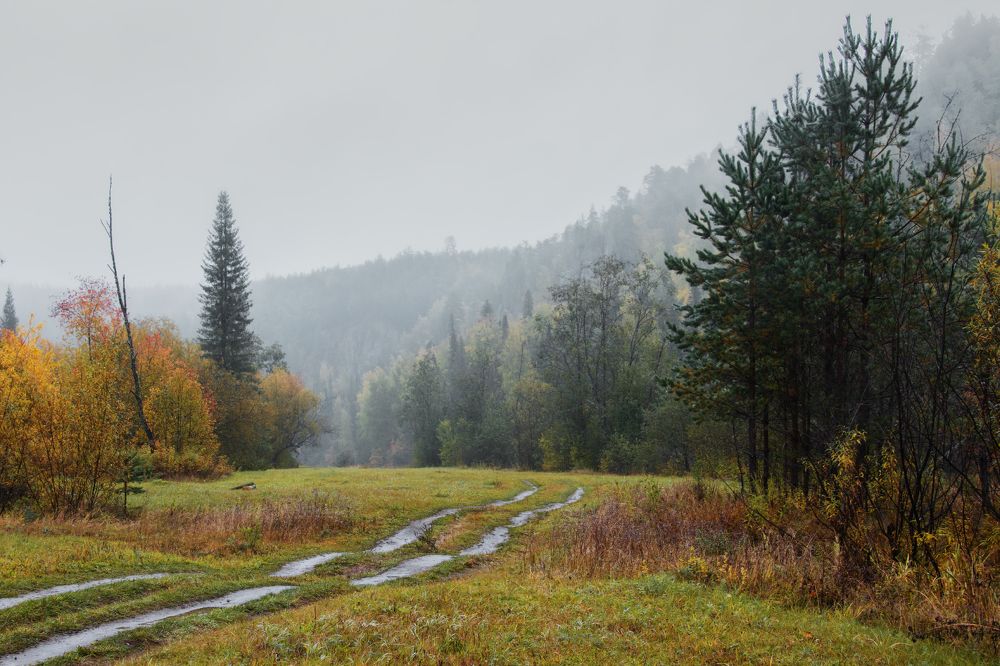 Photograph by Sergey L