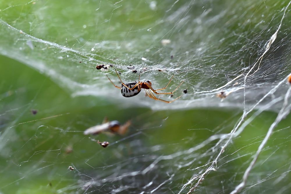 Photograph by Валерий Афанасьев
