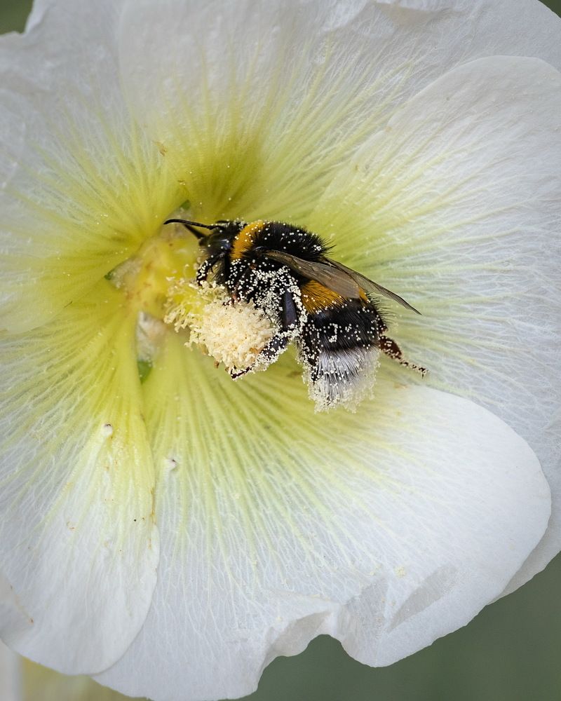 Photograph by Евгений Михеев