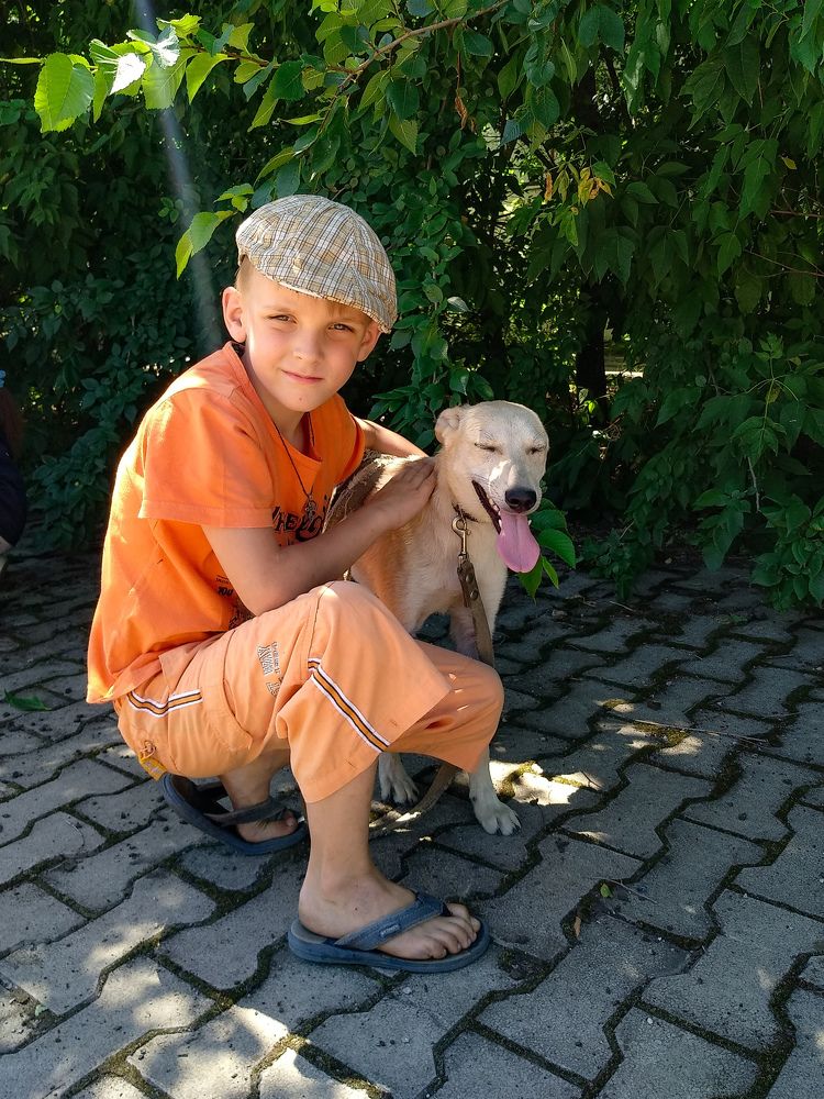 Photo #6491979