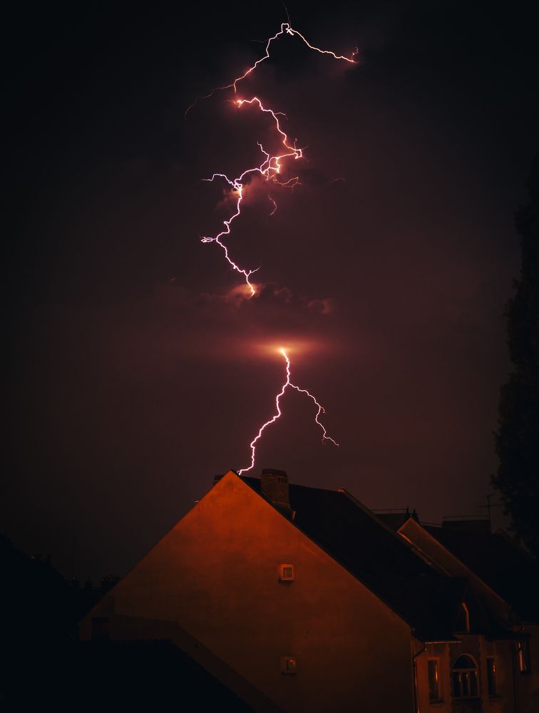 Photograph by Amir H. Bakhtiari