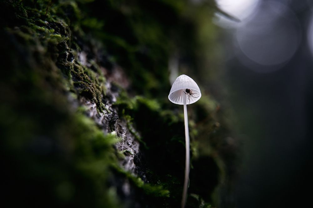 Фотография автора Александр Османов