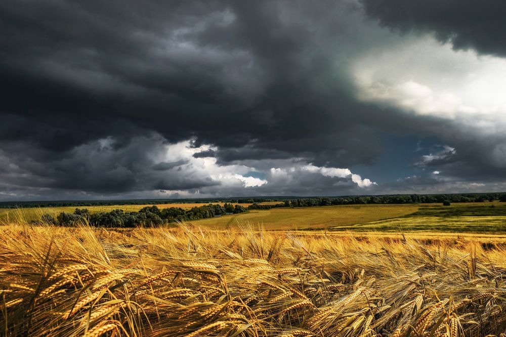 Photograph by Екатерина