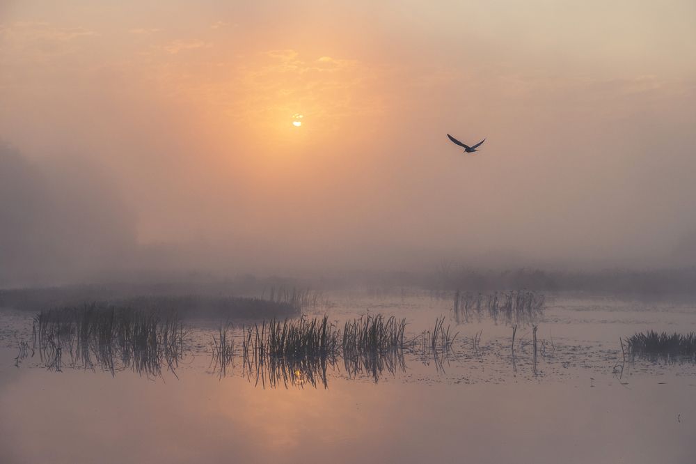 Photograph by Екатерина