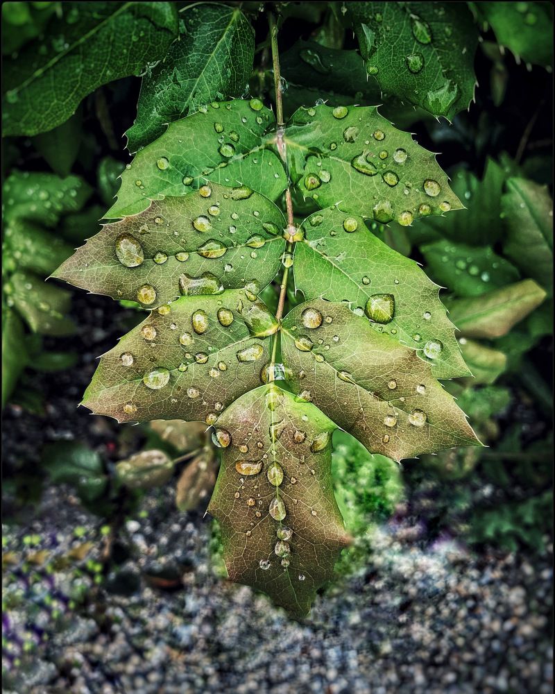 Фотография автора Abdullatif Badnjki
