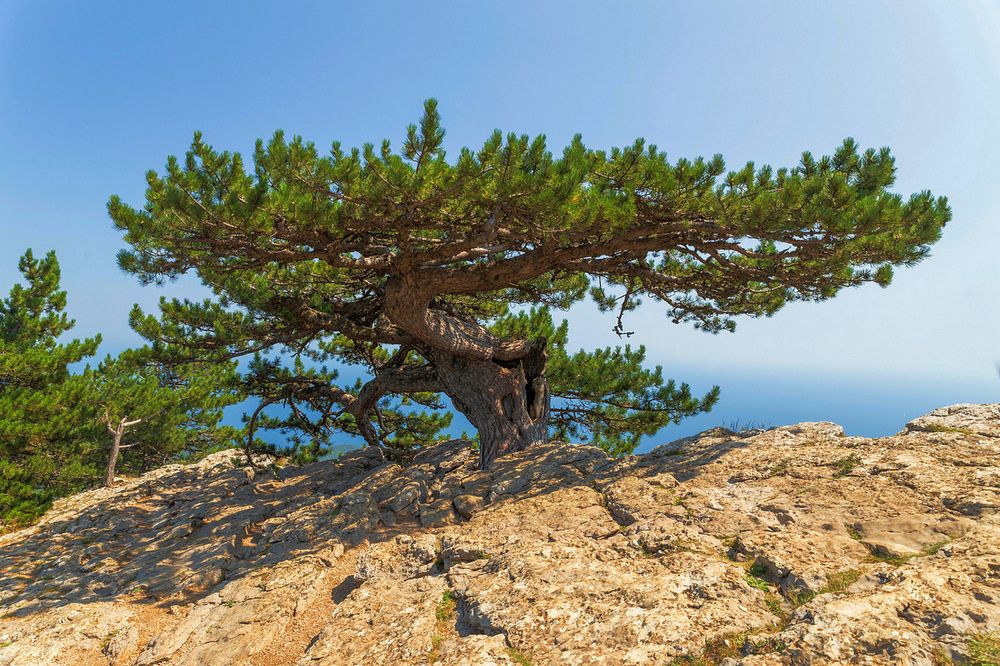 Photograph by Переслегин Александр