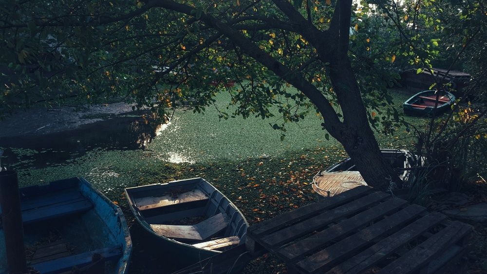 Photograph by Алёна Бондаренко