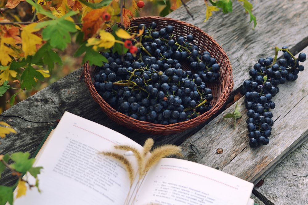 Photograph by Анна Милёшина