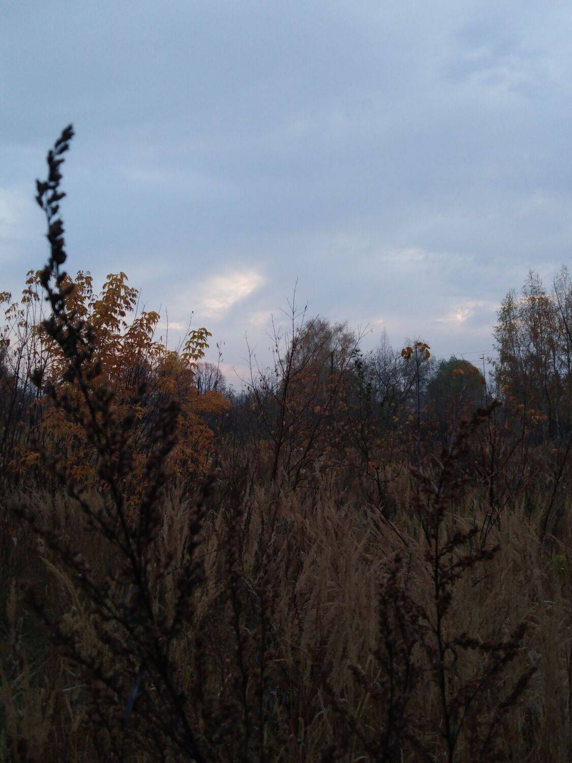 Photo #6492292