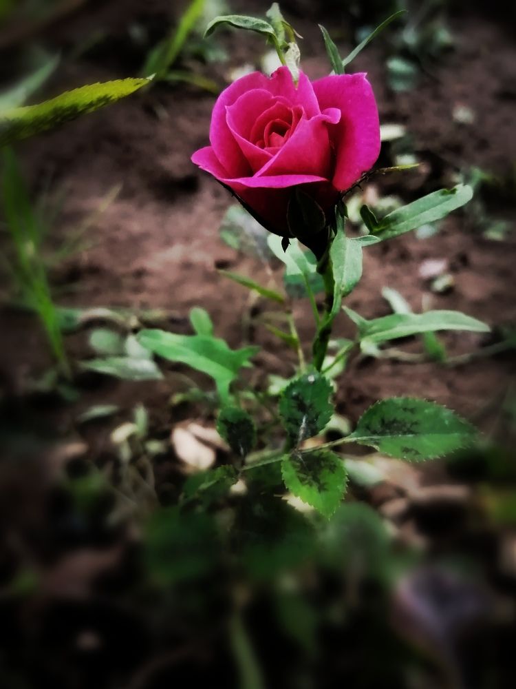 Photograph by Vesna Petkoska