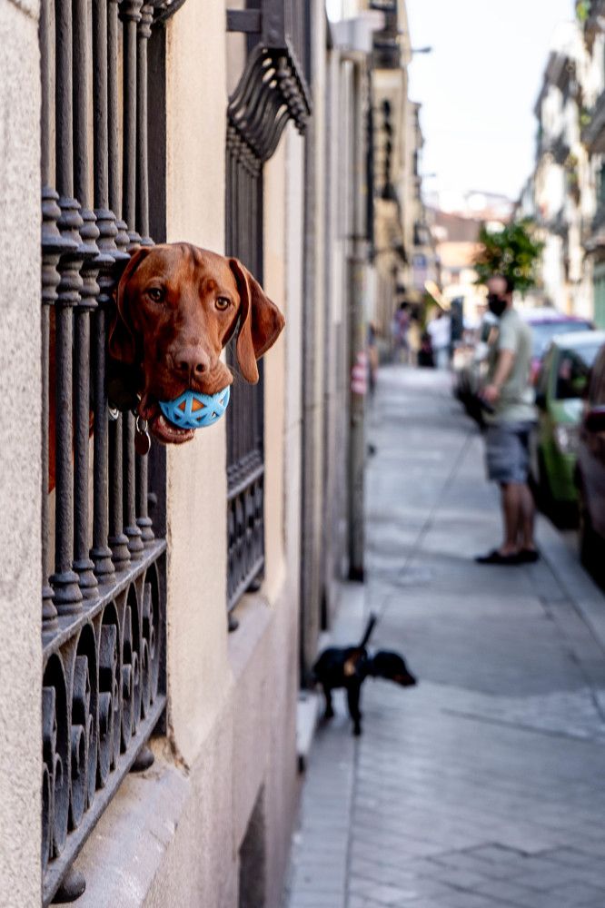 Photograph by PABLO PEDRO ROBLEDO