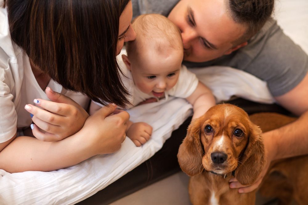 Photograph by Светлана Мицукова