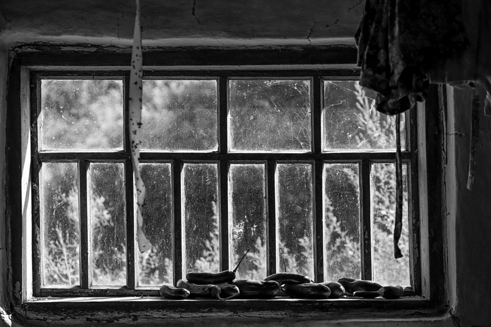 Photograph by Liudmyla Melnyk