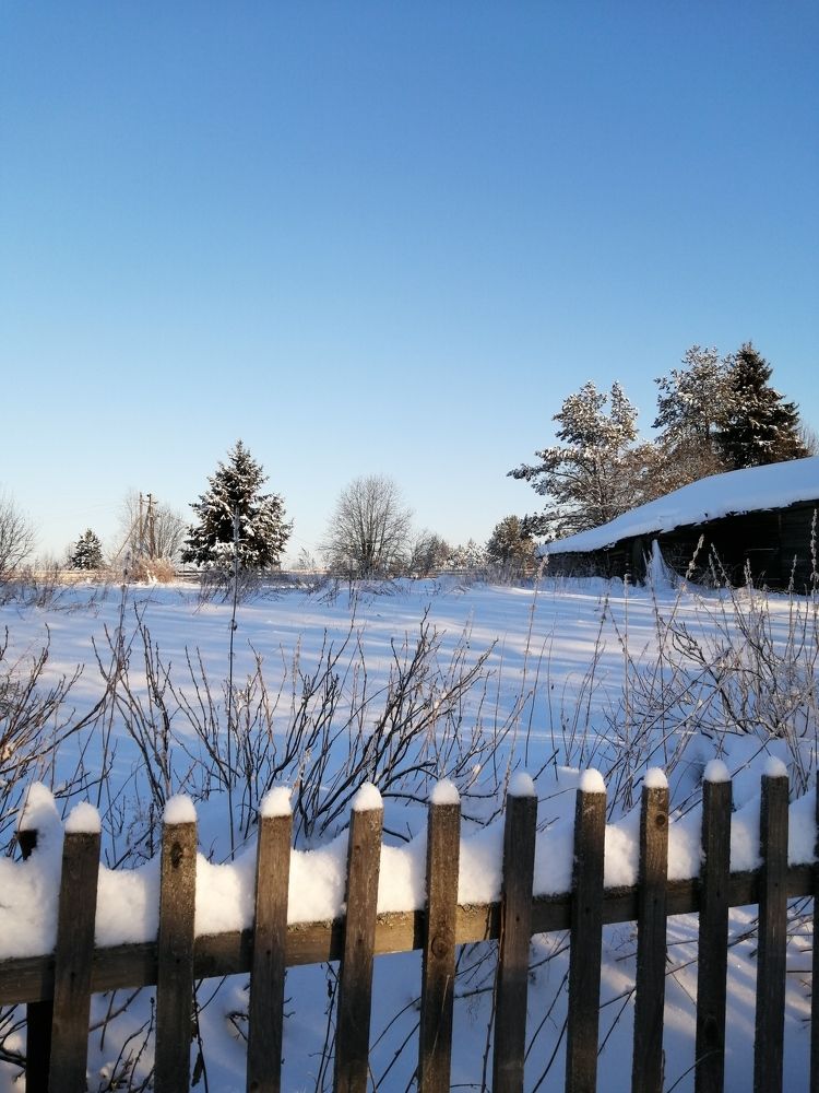 Зима в Славянке