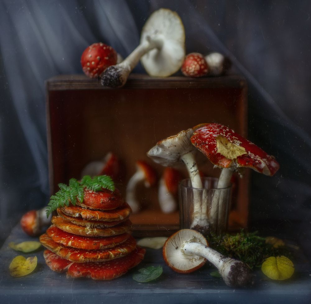 Photograph by Svoboda Andreeva