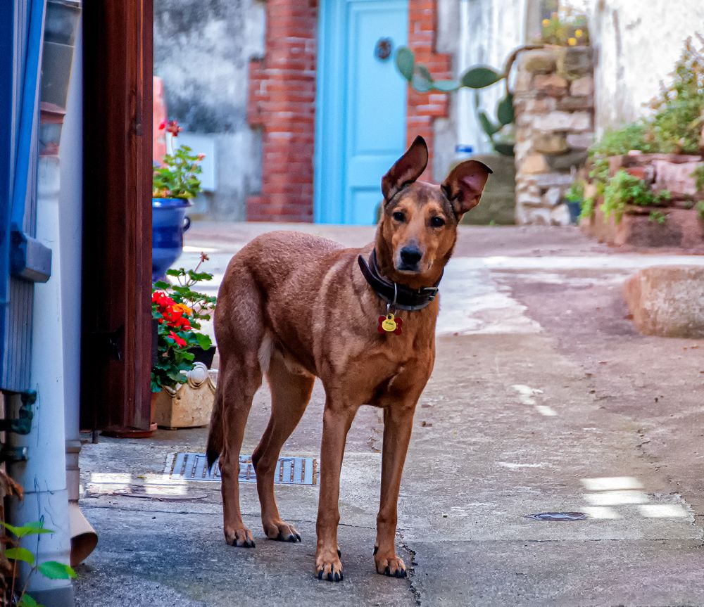 Photograph by Alejandro Suwezda