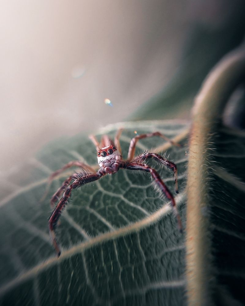 Photograph by Tarun Kumar Mahato