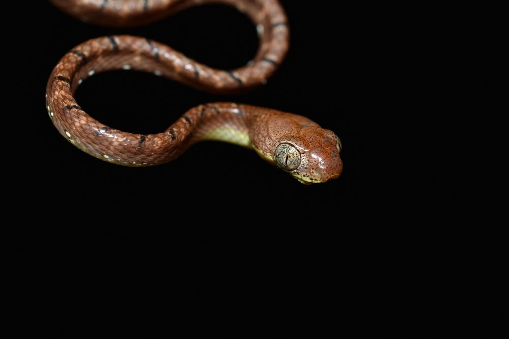 Photograph by Daniyan Aulia Rahman