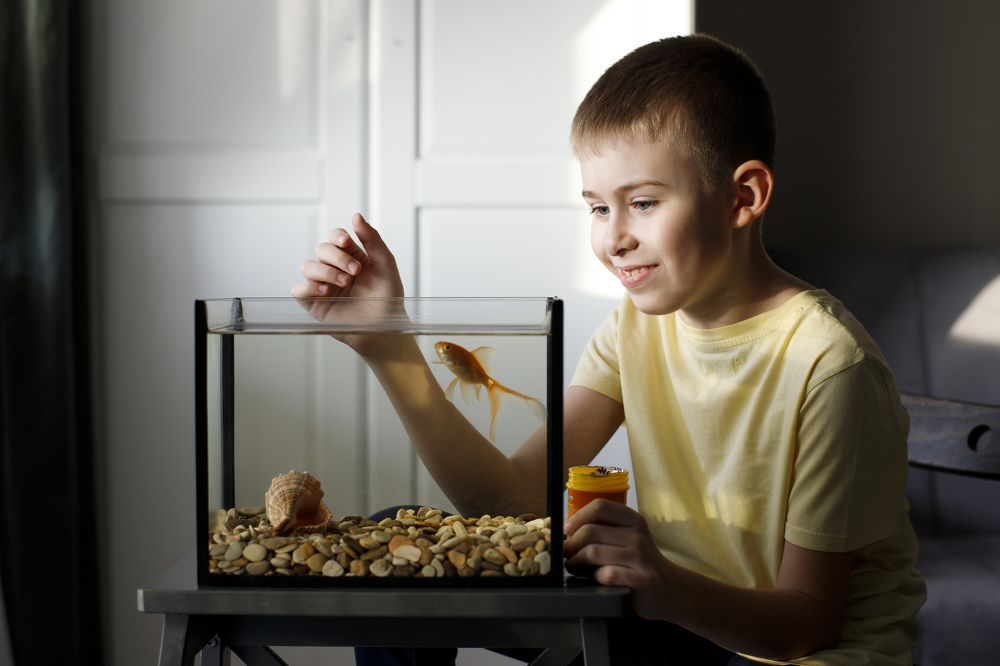 Photograph by Elena Mishchenko