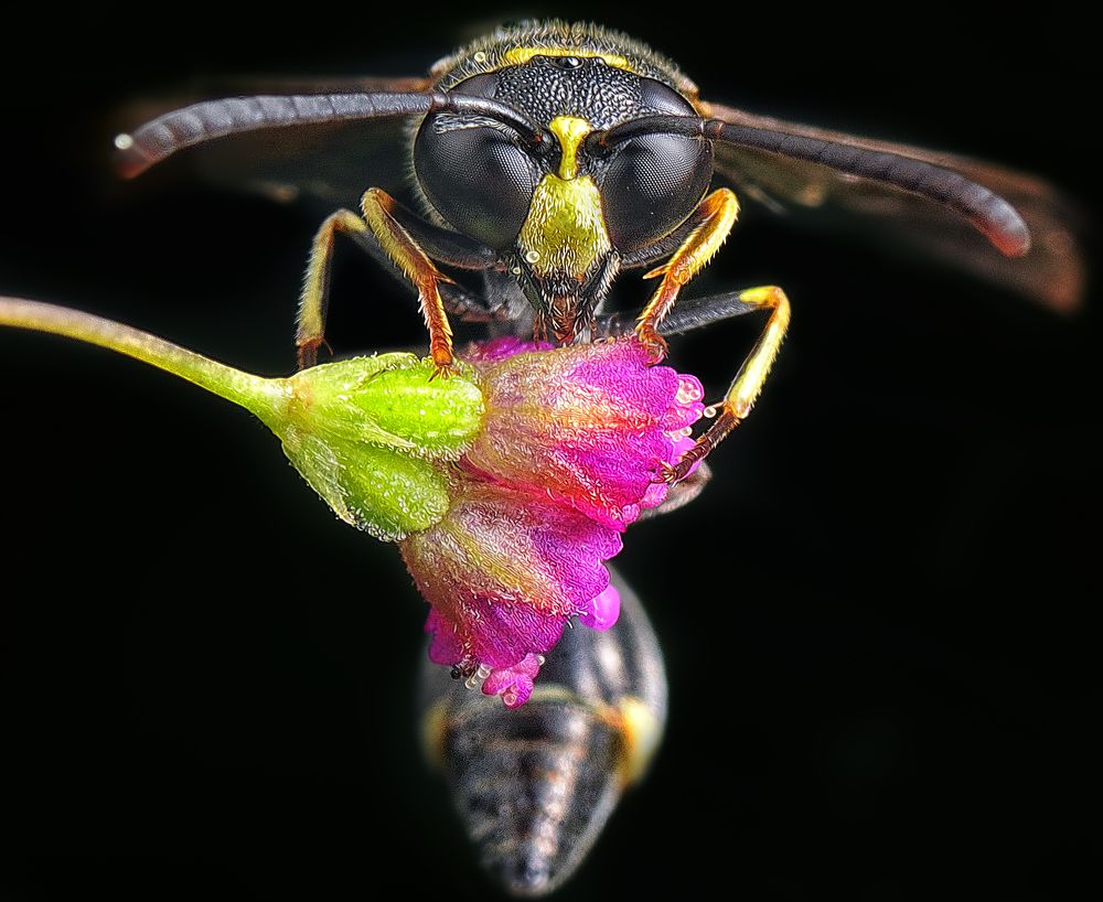 Photograph by SWEE MING YOUNG