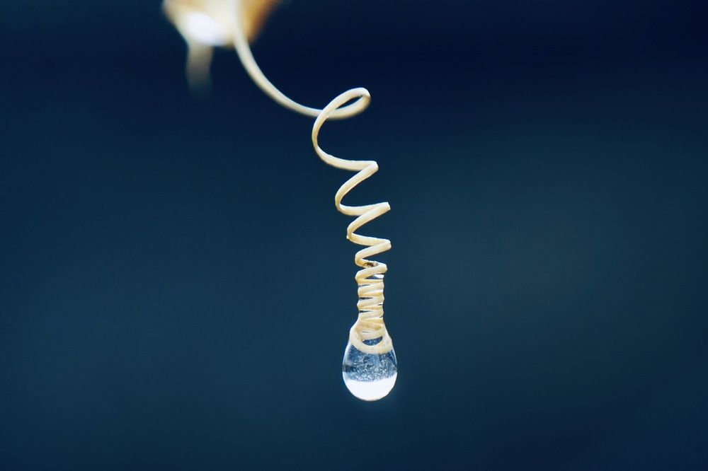 Photograph by phantoms thief