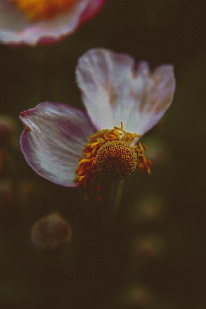 Photograph by Наталья Попова