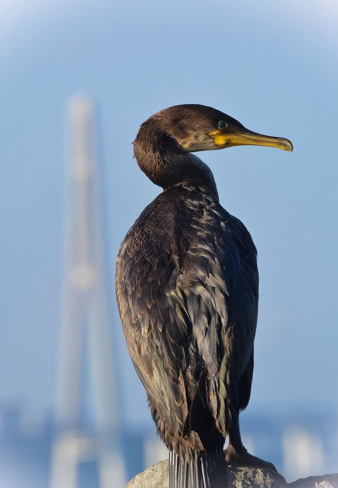 Photograph by Олеся Тютрина