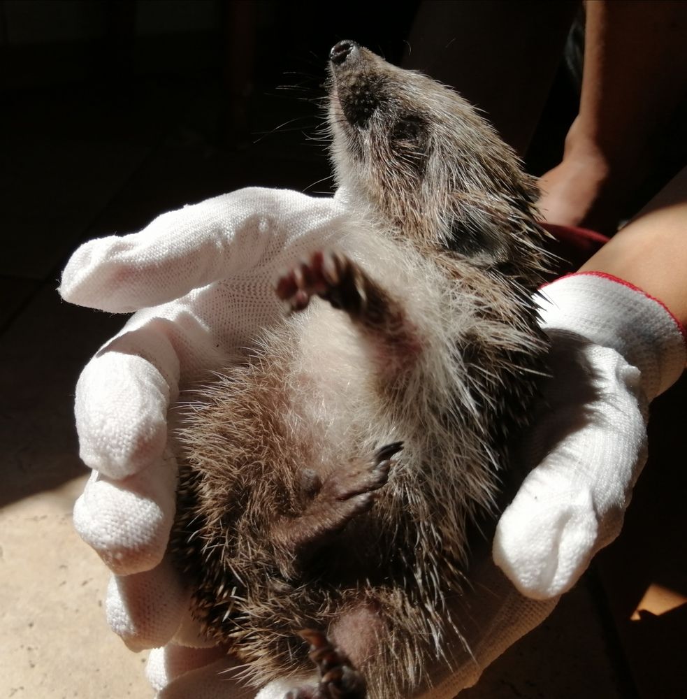 Photograph by Ирина Зима