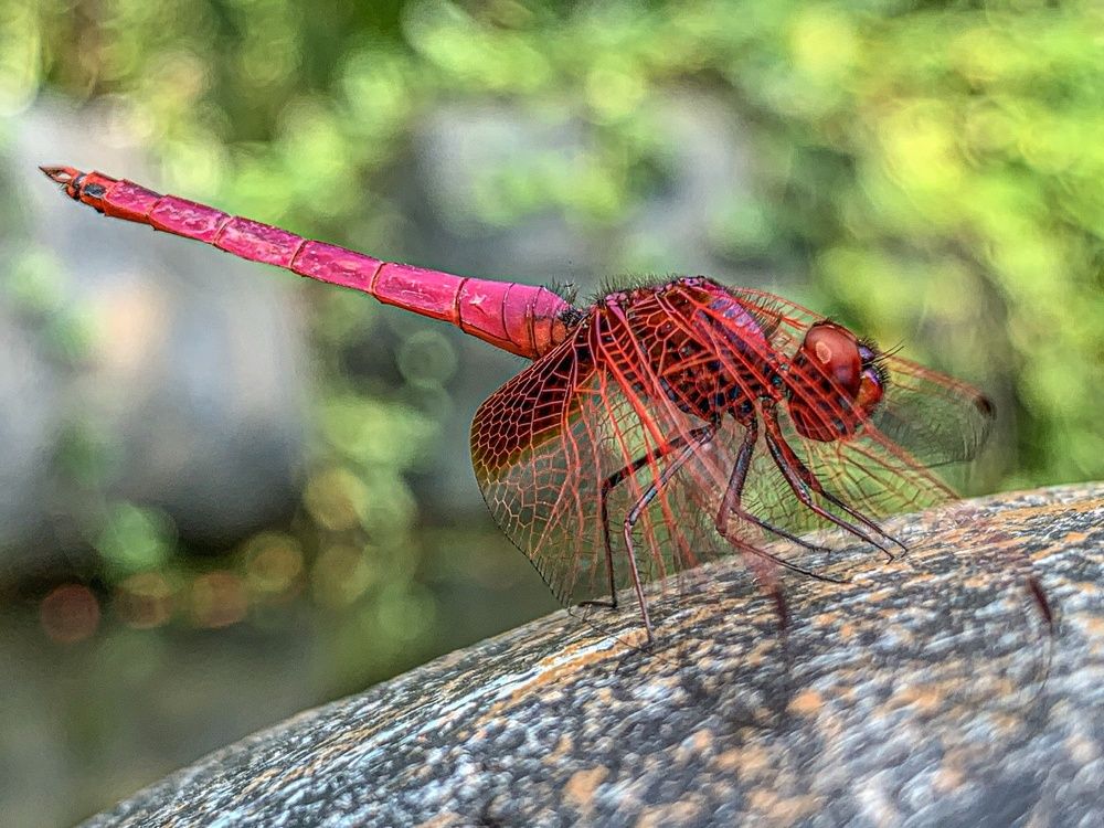 Photograph by Naven Kumar